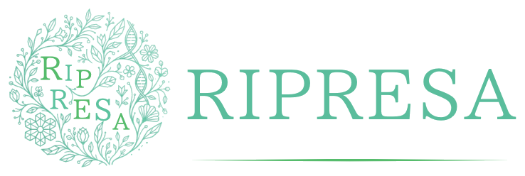 ripresa